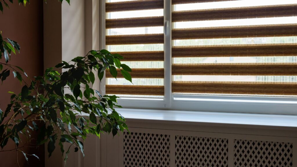 Privacy Blinds